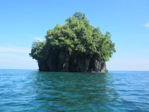 Sejarah Desa Taraudu Kusu