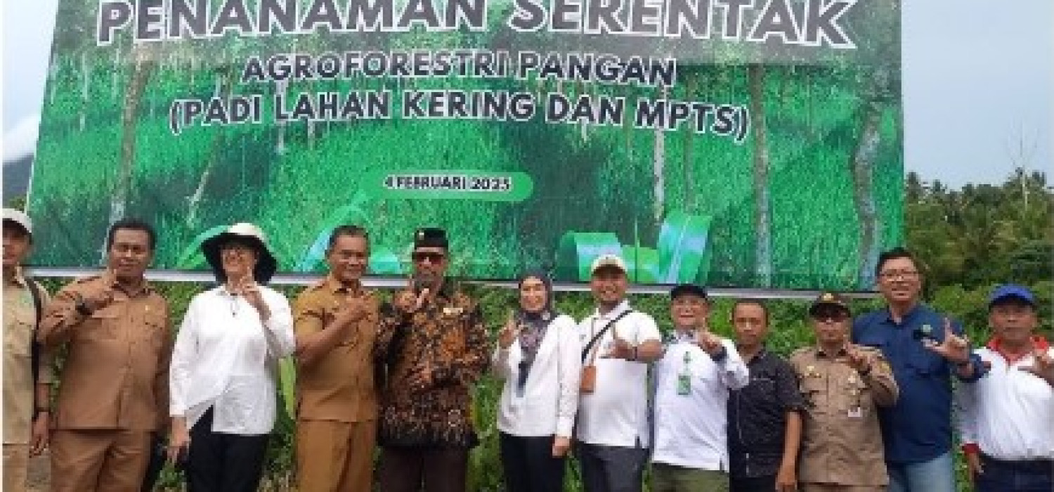 Penanaman serentak agroferestry padi lahan kering dan MPTS di Kab.Halmahera Barat, Maluku Utara